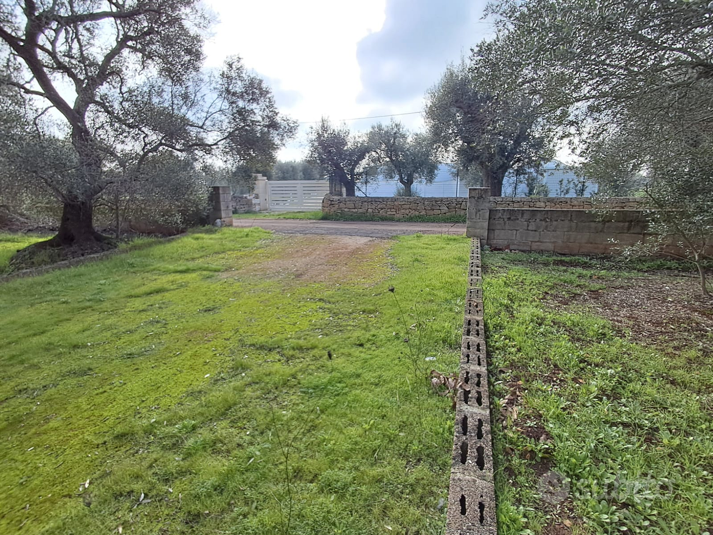 Terreno campagne di ostuni - Vista 5