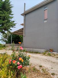 Casa e terreno
