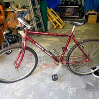 Mountain bike 