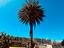 Immagine 30