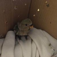 Inseparabili a siracusa