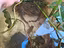 Immagine 3