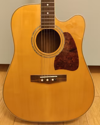 Chitarra Acustica Elettrificata Ibanez Artwood