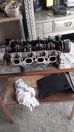 terrios testa+ motore 