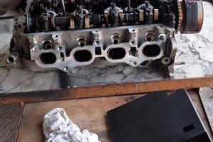 terrios testa+ motore 