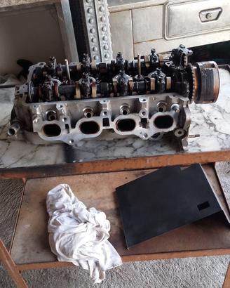 terrios testa+ motore 