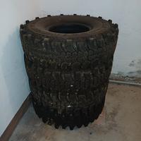 gomme tasselate ziarelli extreme forest 