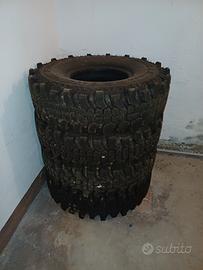 gomme tasselate ziarelli extreme forest 