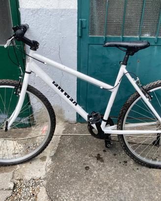 Bicicletta