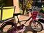 Immagine 1