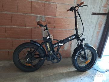 fat bike 250 watt