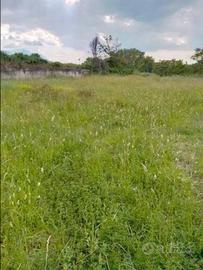 Terreno agricolo disponibilità immediata