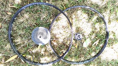 Ruote Sunringle Düroc 29” 46/50mm