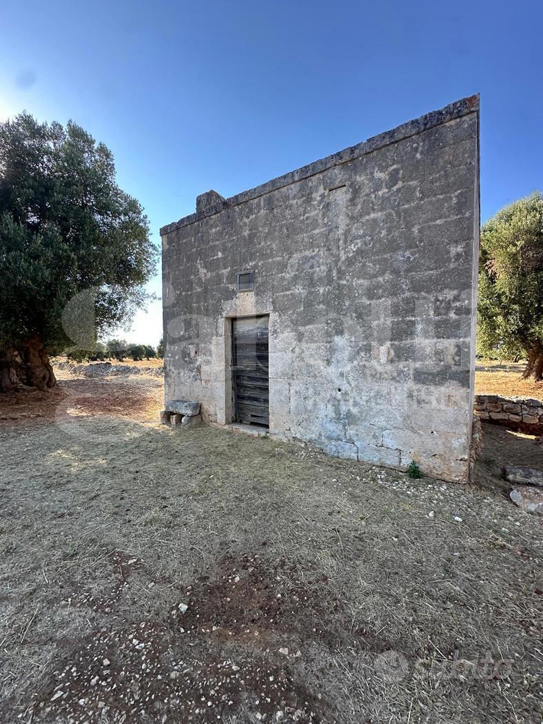 Terreno Agricolo Ostuni [Cod. rif 3331405VRG] - Vista 5