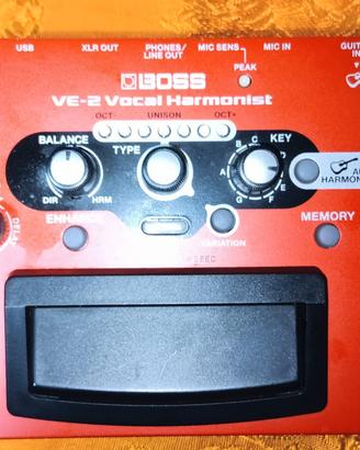 VE-2 Boss Multieffetto voce