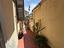 Immagine 14