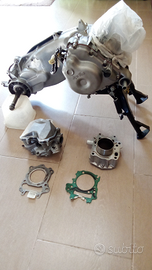 Scarabeo.200.gt.anno.2003.ce.tutto