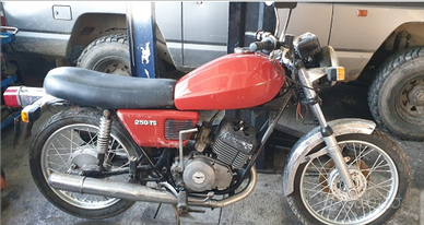 Moto guzzi ts 250