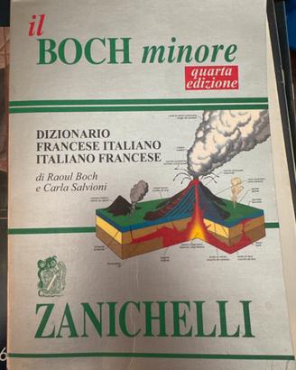 Dizionario il Boch minore