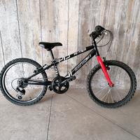 mtb bambino 20"