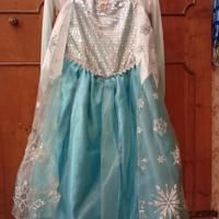 Costume Frozen 