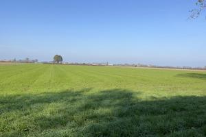 Piccolo podere agricolo in zona Masone/Rubiera.R.E