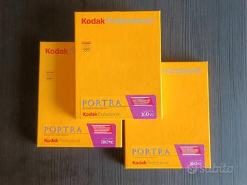 Kodak Portra 160 vc 4x5