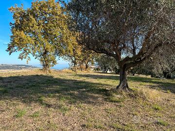 Lotto edificabile per la TUA casa indipendente