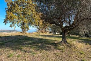 Lotto edificabile per la TUA casa indipendente