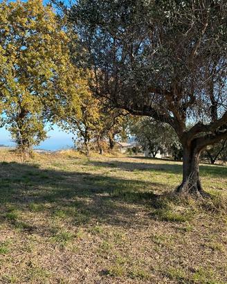 Lotto edificabile per la TUA casa indipendente