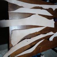 Scapoli vera pelle