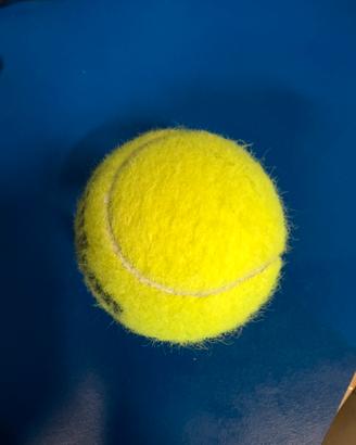 palline da tennis usate.