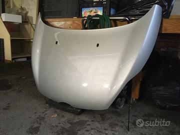 Cofano ford fiesta mk6