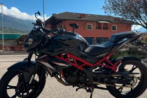 Benelli Bn 125 anno 2024