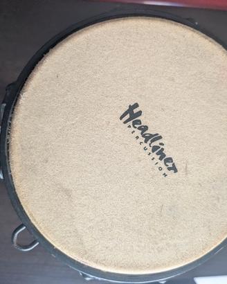 Bongo Headliner 