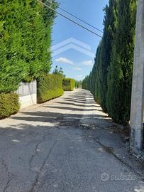 Terreno edificabile - Campobasso