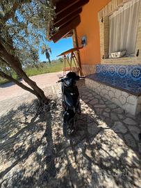 scooter elettrico Sky 2 1000w 20h