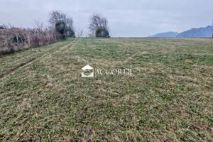 Rif.BL060| terreno agricolo mussolente