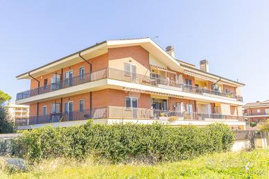 3 LOCALI A ALBANO LAZIALE