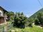 Immagine 12