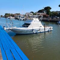 SETTEMARI F27 FLY AMERICA 7,8 mt