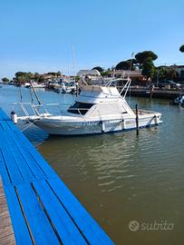 SETTEMARI F27 FLY AMERICA 7,8 mt