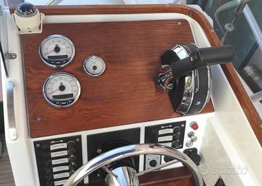 Mercury F115 - con c.a. 250 ore di moto