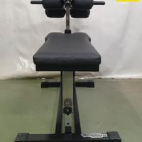 Panca Crunch Technogym