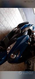 tmax 500 2010