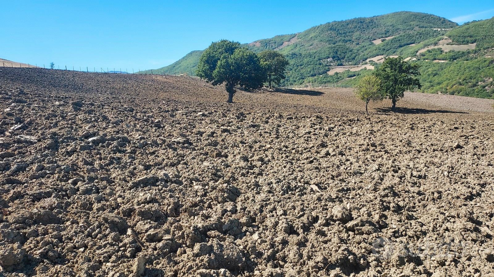 Terreno agro di Laurenzana - Vista 4