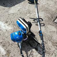 Decespugliatore/tagliabordi