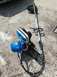 Decespugliatore/tagliabordi