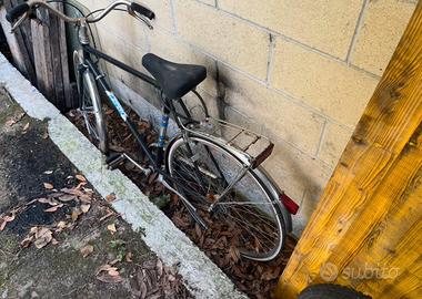 bicicletta diamant