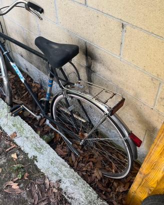 bicicletta diamant